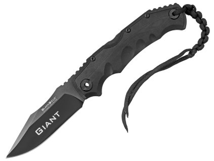 {03E7BBE9 17E1 4350 BA9D DF0FEDF9F80B} V