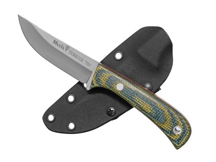 {9772038B 714B 43F5 A519 AB0E549CC93A} V