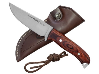 {5DB369F4 0A76 4709 8032 08C853B7B412} V