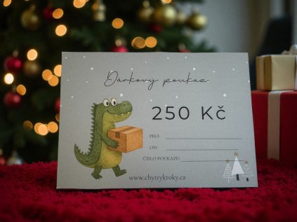 Dárkový poukaz 250