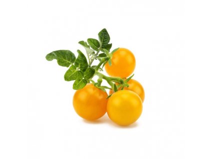 Click and Grow sladká žlutá paprika, kapsle se semínky a substrátem 3ks