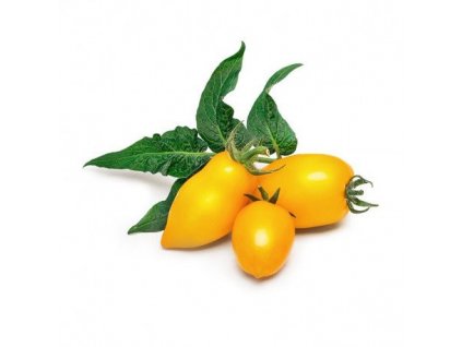 obr p vlin l5 tom053 0 naz 1617890725 mini yellow tomato lingot pug100008