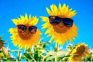 Dovolená 🙌 Ve dnech 9.6.2023-18.6.2023 čerpáme dovolenou. Objednávky přijaté po 8.6.2023 budou odeslány v týdnu od...