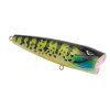 spro e pop 80 pumpkin seed