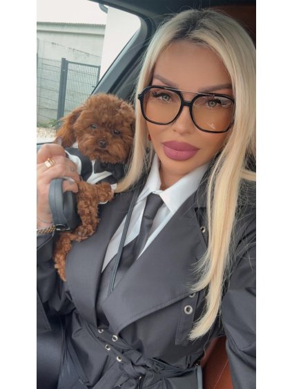 Obrázok WhatsApp 2025 11 23 o 11.45.29 9b72b9e0