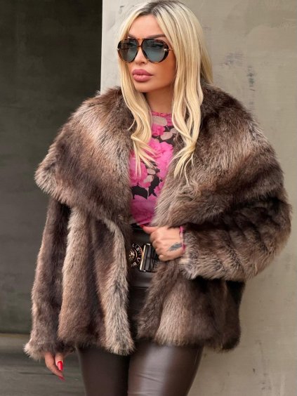 WhatsApp Image 2025 11 15 at 17.52.19