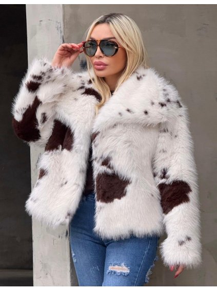 WhatsApp Image 2025 11 15 at 17.54.05