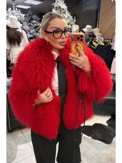 WhatsApp Image 2025 12 19 at 18.43.52 (1)