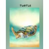 turtle