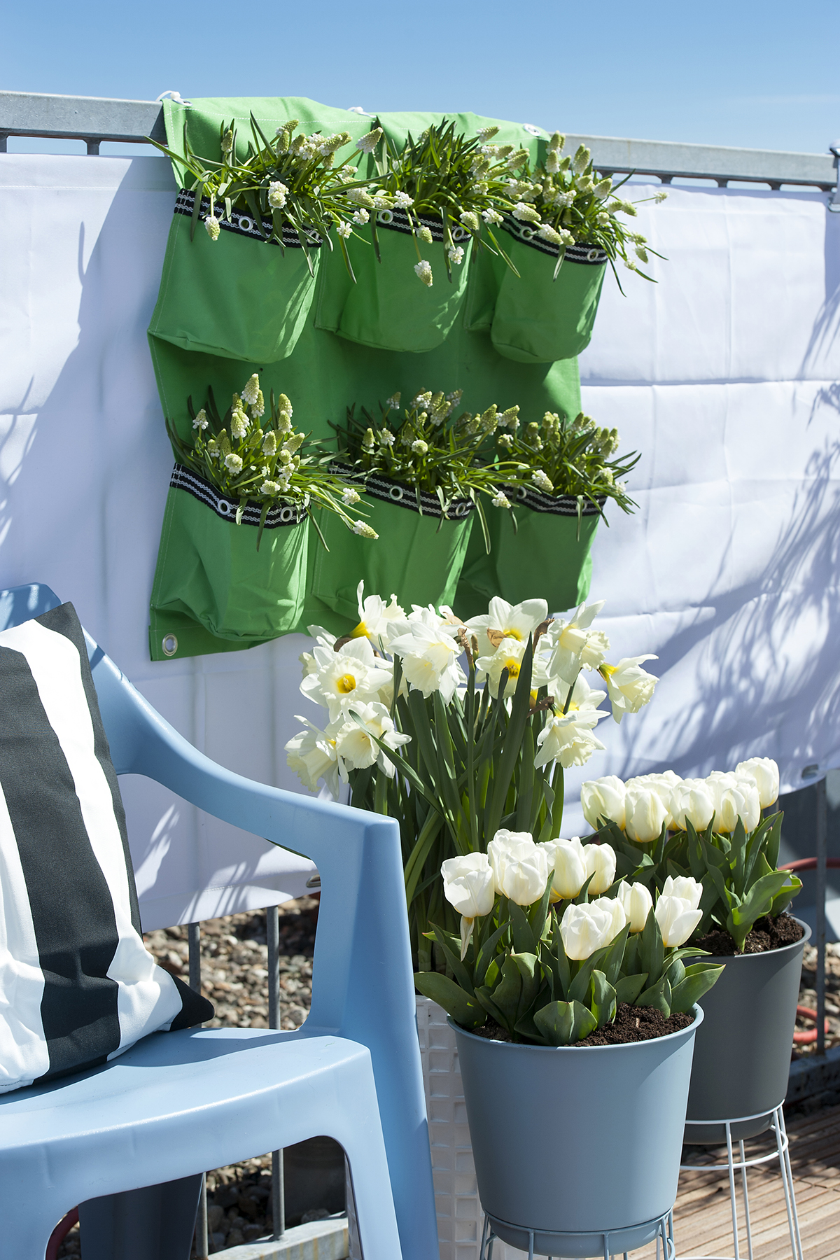 Vytvořte si vlastní tulipánovou oázu na balkóně