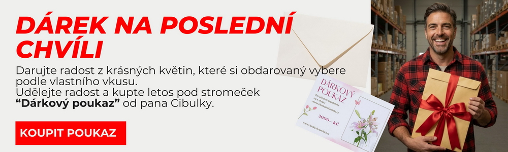 Dárek na poslední chvíli