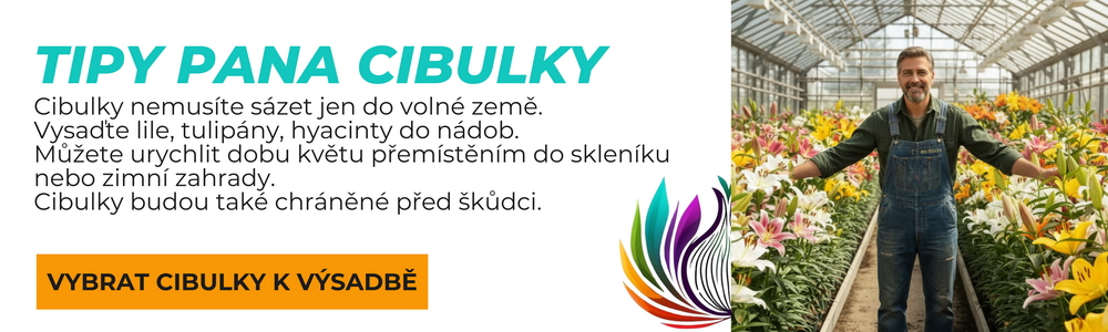 Tipy pana Cibulky