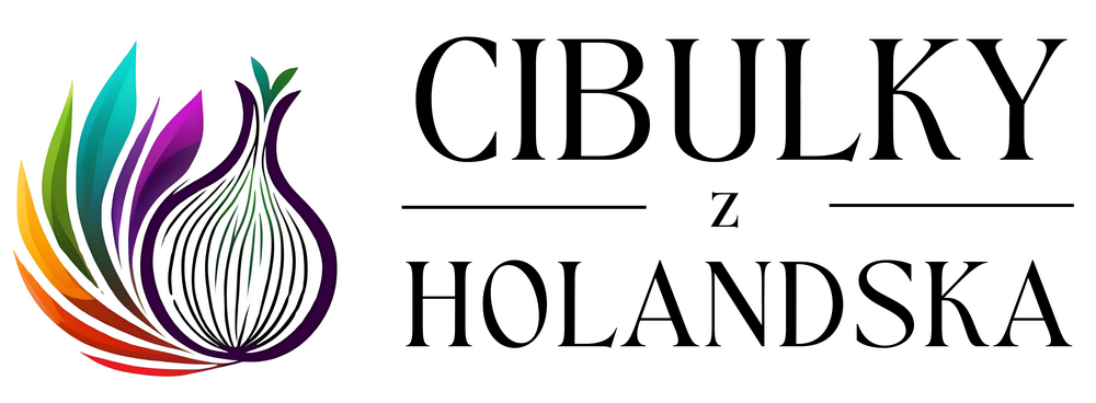 --- Cibulky z Holandska ---