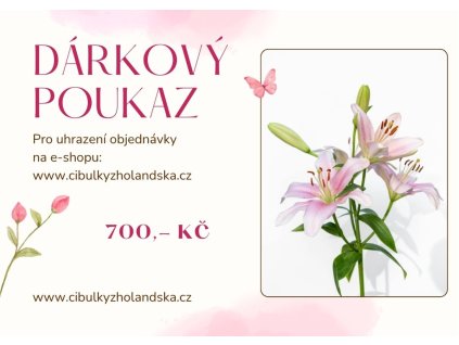 2026 Dárkový poukaz 700