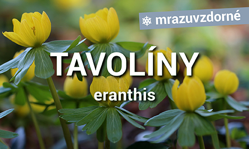 Tavolíny