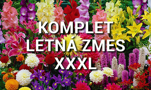 Letná zmes XXXL