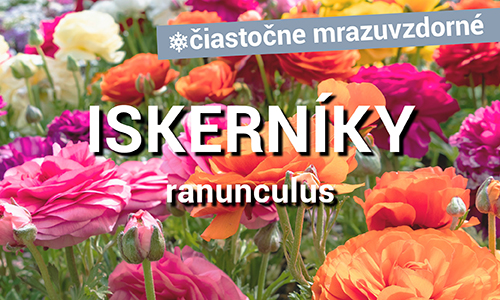 Iskerníky