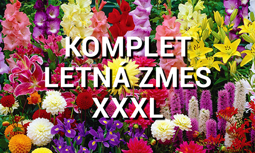 Letná zmes XXXL
