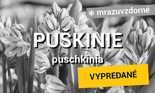Puškinie