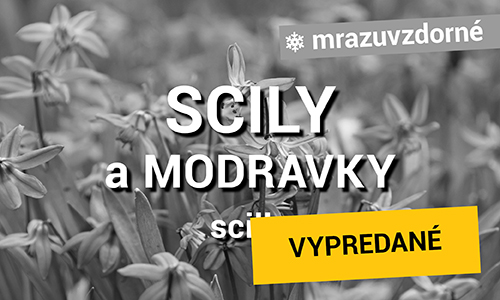 Scily a Modravky
