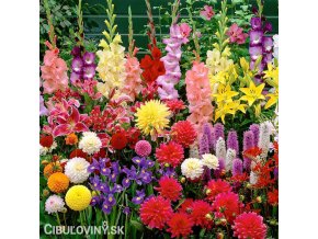 mix letni smes xxxl 1