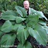 bohyska hosta t rex 1