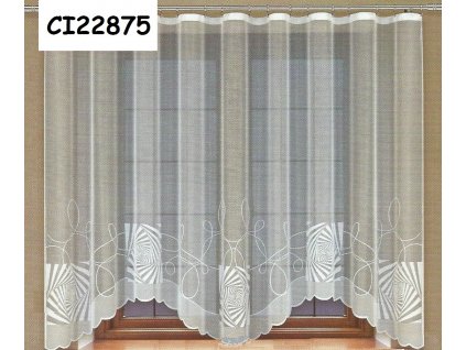 CI22875