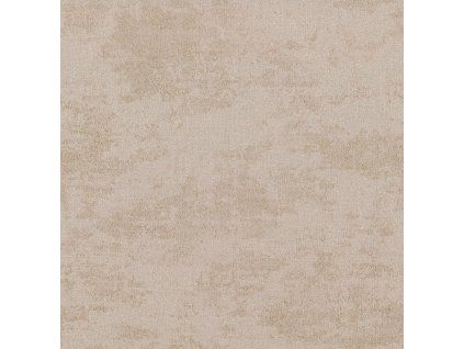 sierra 104 champagne