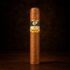 cohiba robusto main 1600x1600 web
