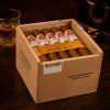 hoyo de monterrey epicure no2 box 1600x1600 web