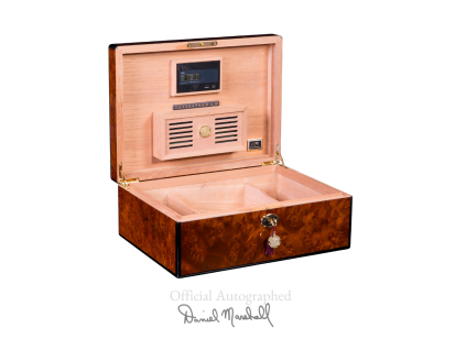 Burl 100 1