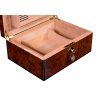 Burl 100 3