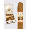 New World Robusto