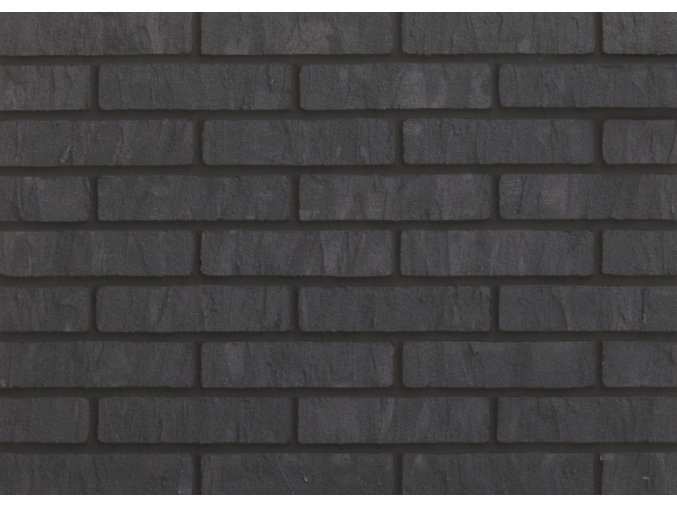 E6029
