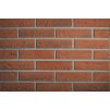 99(2) cihlovy obklad elastolith exterier 210x50 colorado altrot