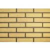 102(2) cihlovy obklad elastolith exterier 210x50 malta apfelblute