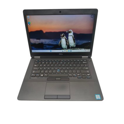 WhatsApp Image 2026 01 08 at 16.30.43