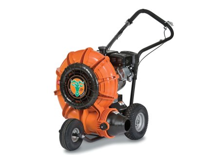 aaaa