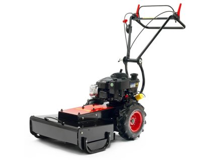 aa