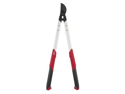 Snímek obrazovky 2026 01 22 150747