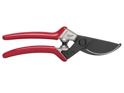 Snímek obrazovky 2026 01 22 151702