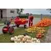 Malotraktor VARI IV GLOBAL + ANV-380 (motor VARI XP-200A)  prodloužená záruka + sestavení traktůrku + doprava zdarma