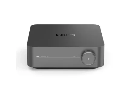 11613 wiim amp pro 1