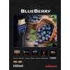 audioquest blueberry hdmi kabel hdmi hdmi (2)