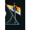 pro ject art the dark side of the moon limitovana edice gramofonu pick it pro se (2)