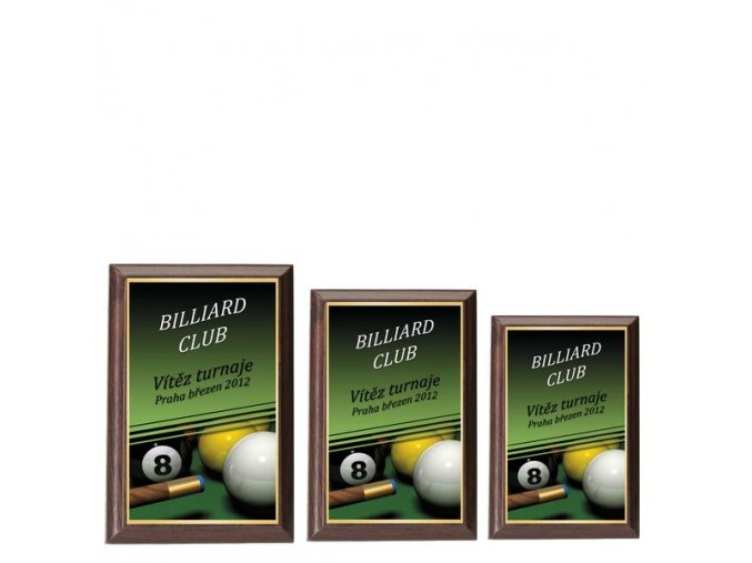 Plaketa  CPLP3M16  billiard