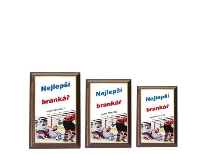 Plaketa  CPLP3M11  hokej