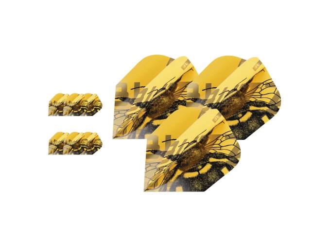 B0DF35P6YG.MAIN