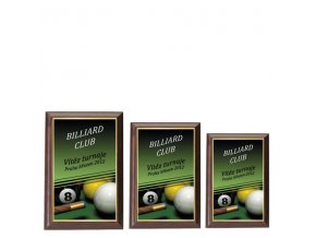 Plaketa  CPLP3M16  billiard