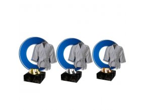 Akrylátová trofej CACL2101M23 Karate